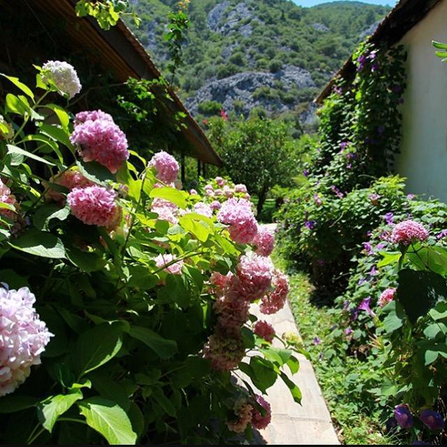 Dolunay Apart Hotel Чирали Екстер'єр фото
