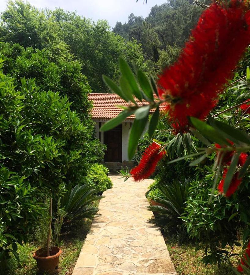 Dolunay Apart Hotel Чирали Екстер'єр фото
